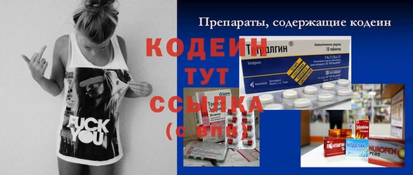 соль ск Рославль