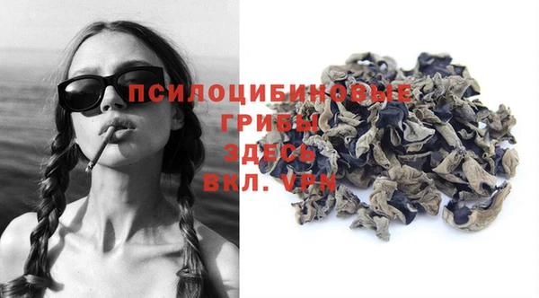 ECSTASY Баксан